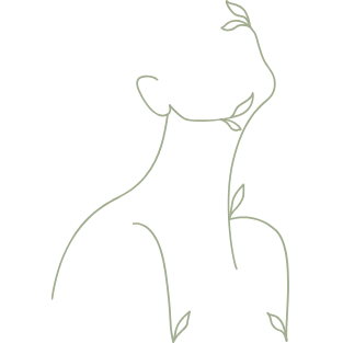 ayurveda litzea verona 100 100 (18)